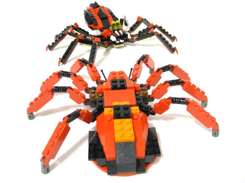 99-4994w4101-spiders_006.jpg