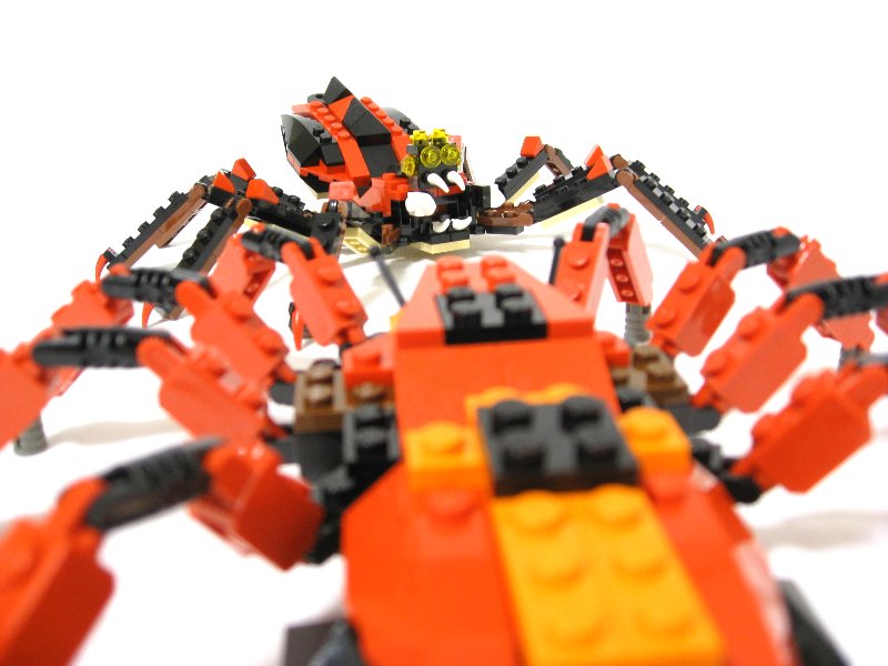 99-4994w4101-spiders_007.jpg