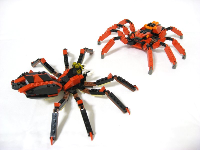 99-4994w4101-spiders_008.jpg