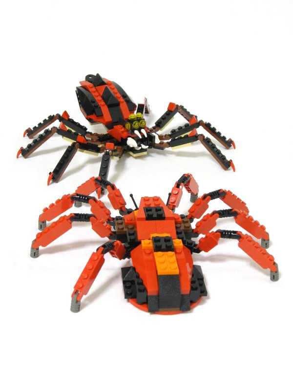 99-4994w4101-spiders_009.jpg