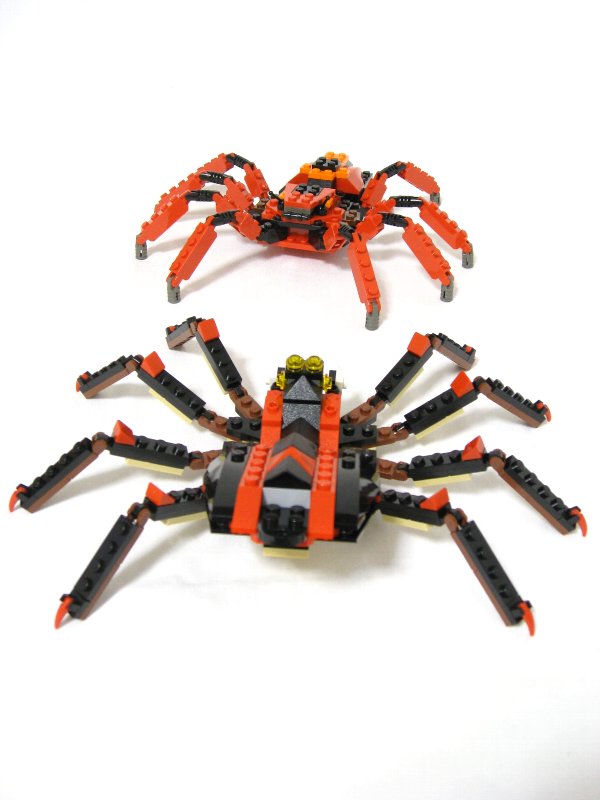 99-4994w4101-spiders_010.jpg