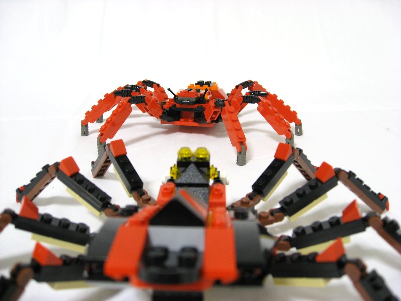 99-4994w4101-spiders_011.jpg