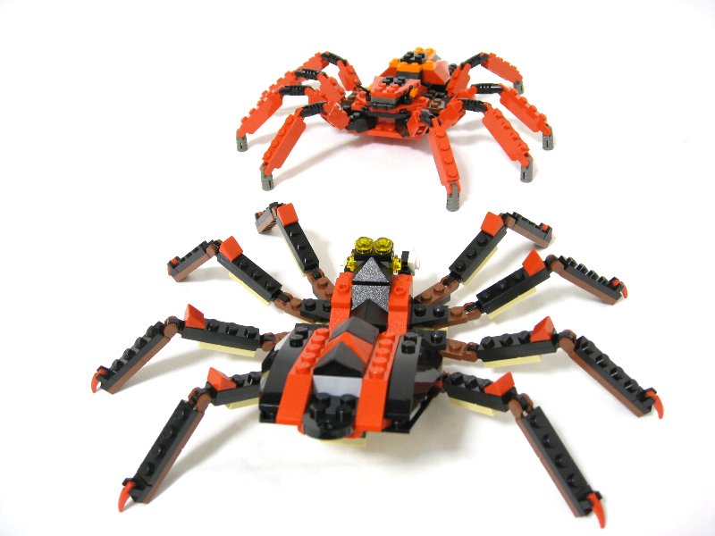 99-4994w4101-spiders_013.jpg