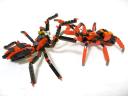 99-4994w4101-spiders_001.jpg