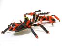 99-4994w4101-spiders_002.jpg