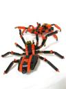 99-4994w4101-spiders_003.jpg