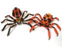 99-4994w4101-spiders_004.jpg