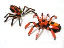99-4994w4101-spiders_005.jpg