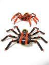 99-4994w4101-spiders_010.jpg