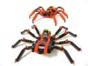 99-4994w4101-spiders_013.jpg