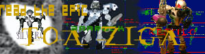 toa_ziga_banner.jpg