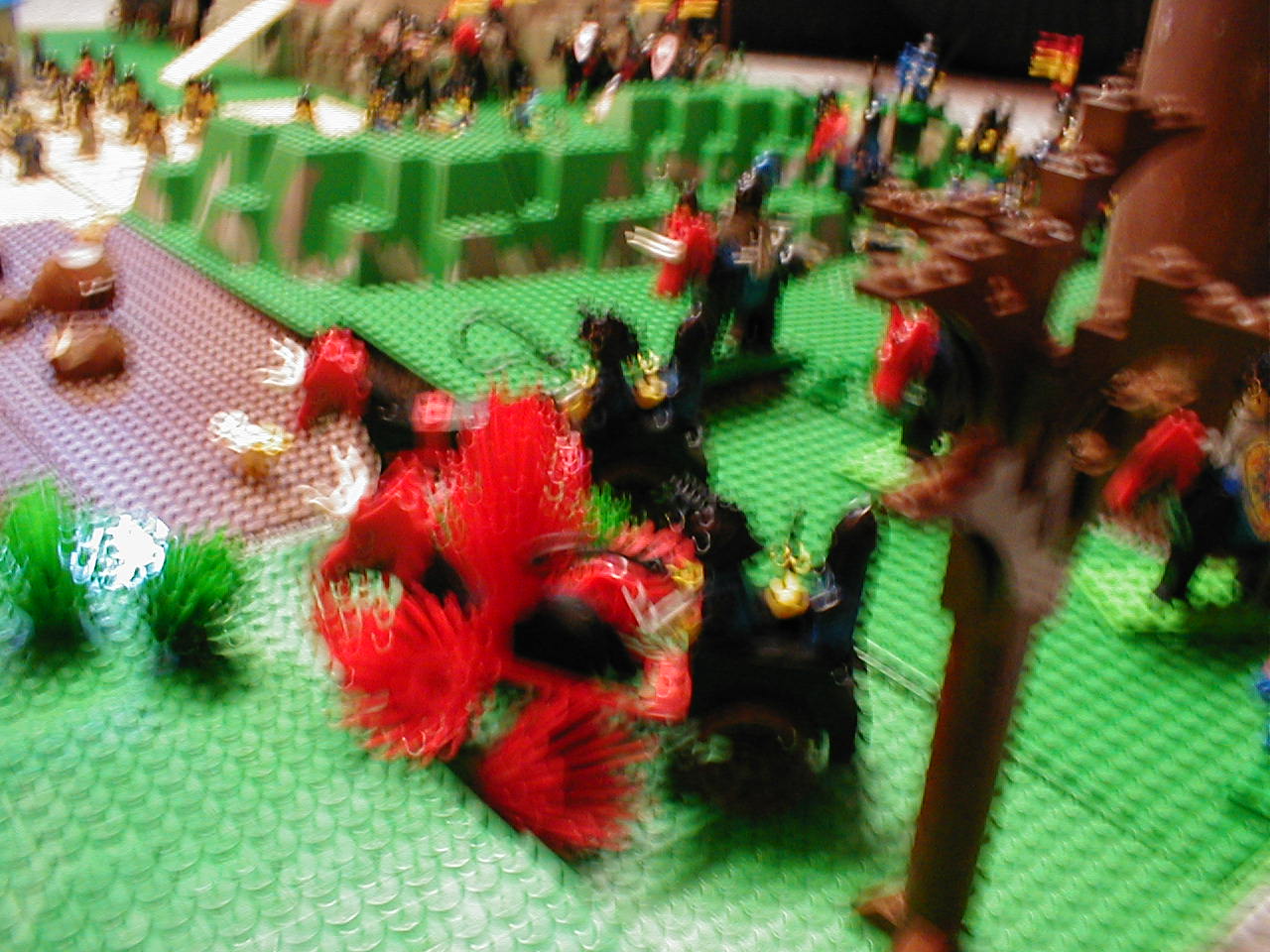p1010007.jpg