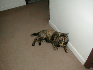p6100093.jpg