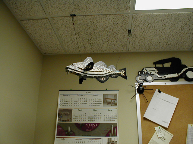 p1010019.jpg