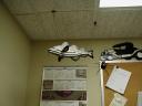 p1010019.jpg