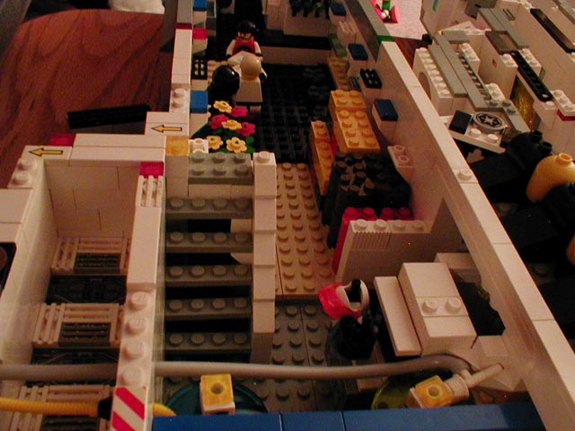 p1010059.jpg