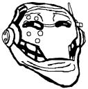 stormertrollface.png