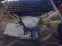 DragonBolt