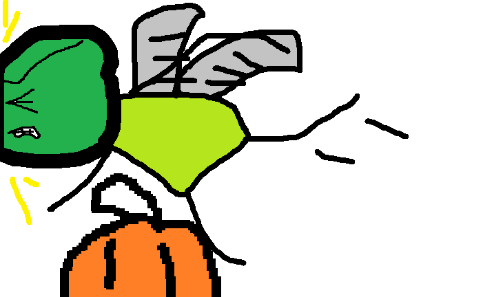 order16.png