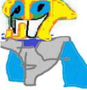 tamroc.jpg