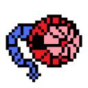 spisquidbud.png