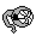 whsquidbud.png