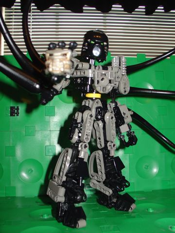 pose.jpg