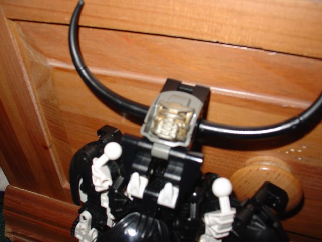 pic8.jpg