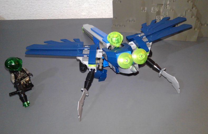 02incectids.jpg
