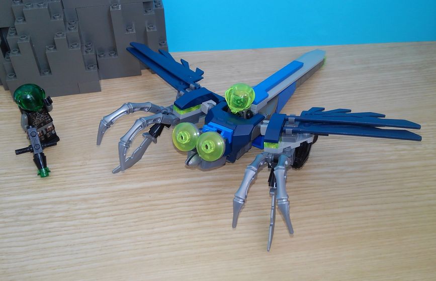 00incectids3.jpg