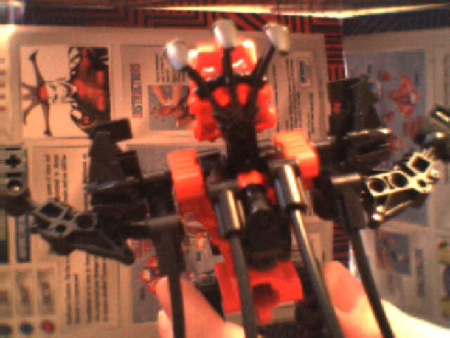 back-detail.jpg
