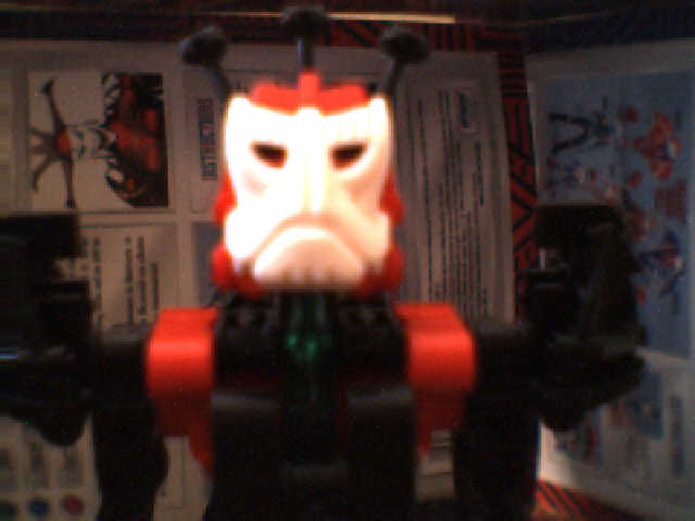 closeup.jpg