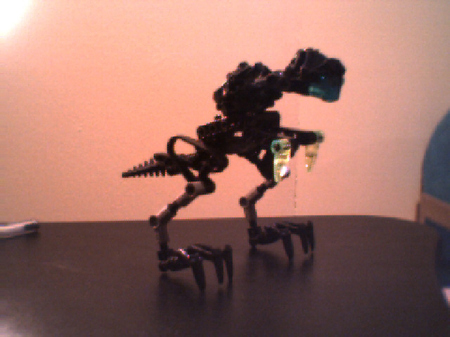 a-tunnel_raptor.jpg