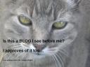 blogapprove2.png