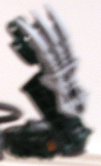 zoom_of_claw.jpg