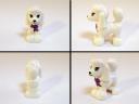 41021-poodle.jpg