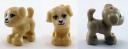 41025-dog.jpg