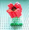 tulip02.jpg