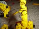 dsc01597.jpg