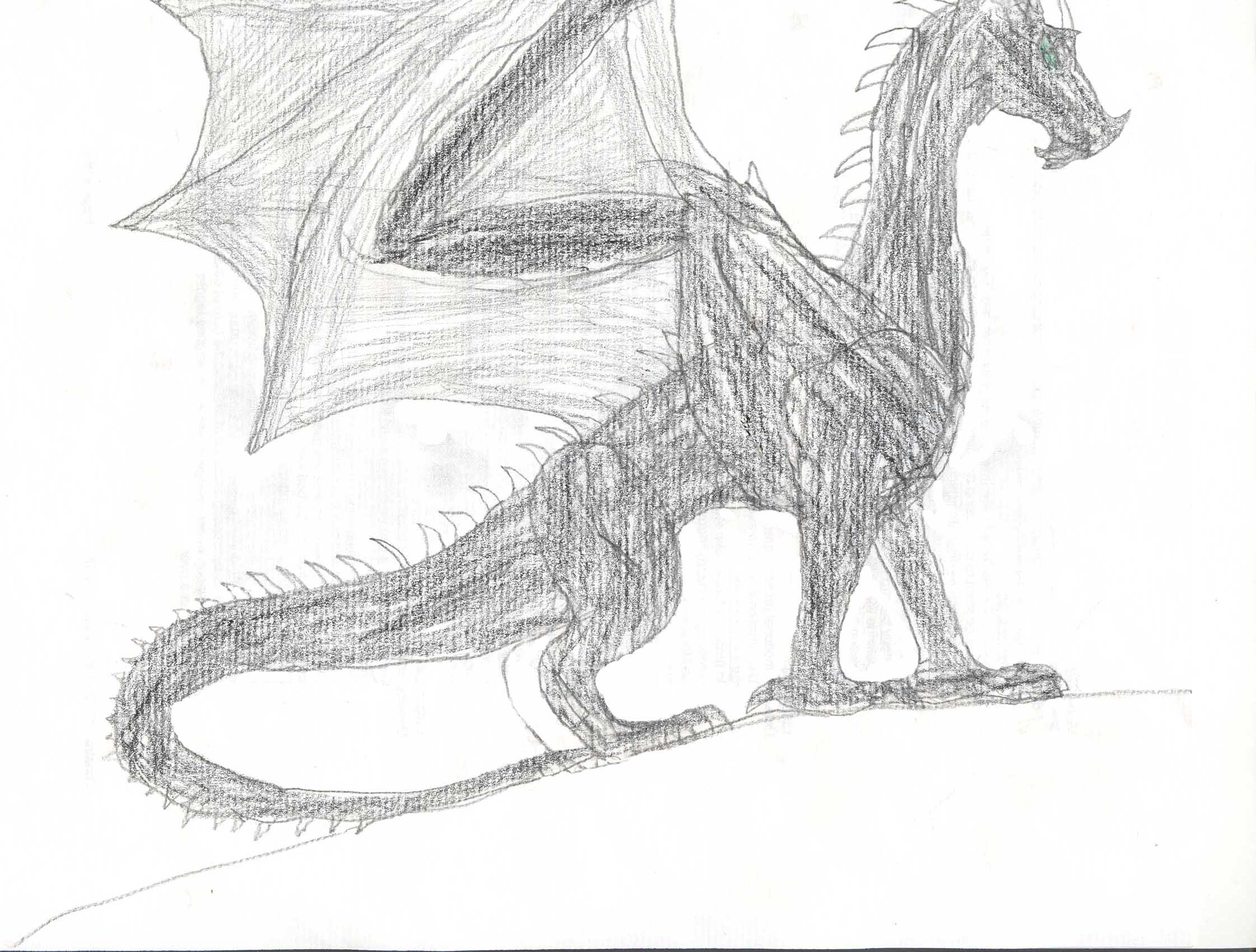 black_diamond_dragon.jpg
