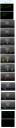 portal_panic_character_page_team_zorag.png