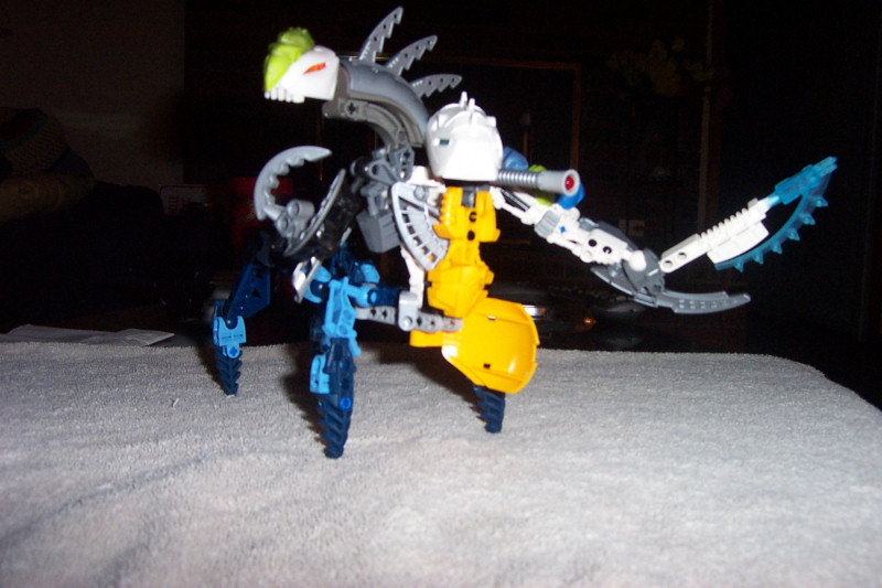 makuta_1.jpg