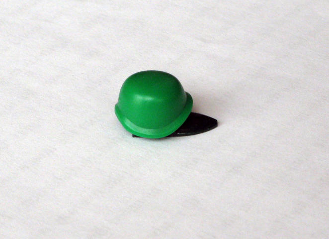 turtle02.jpg