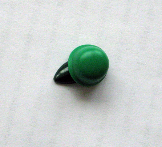 turtle05.jpg