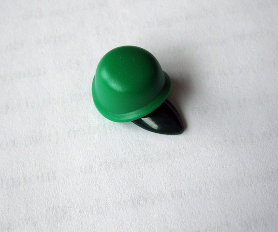 turtle06.jpg