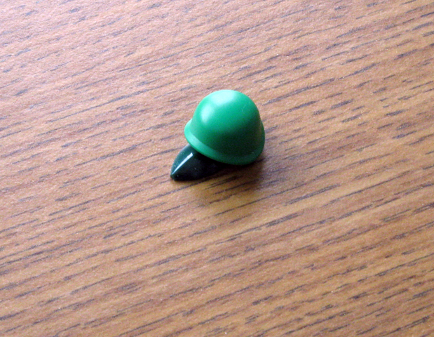 turtle09.jpg