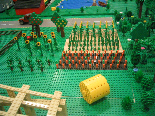 d1_07.jpg