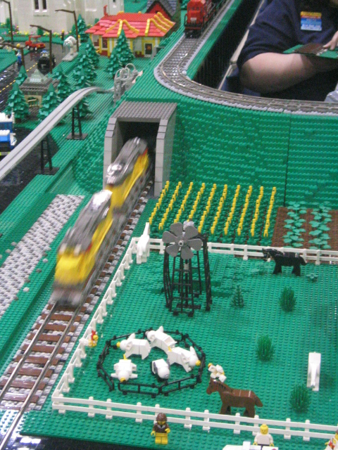 d1-50.jpg