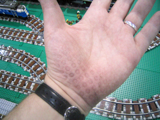 0img_1265.jpg