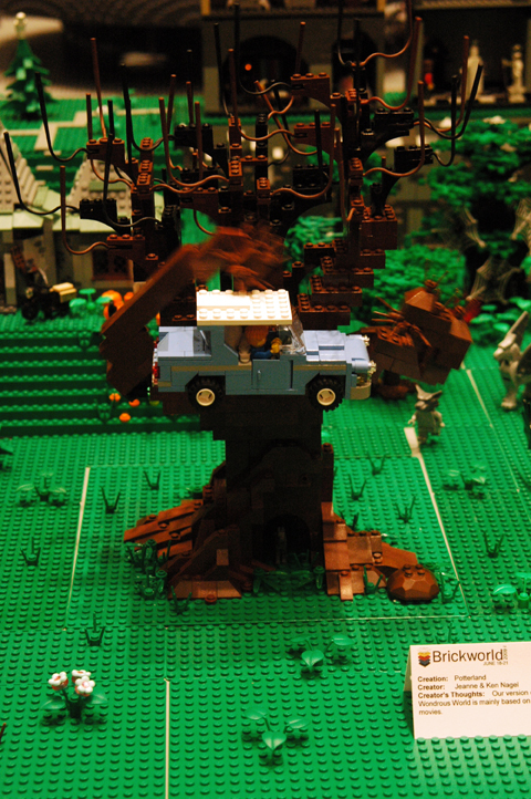 dsc_3197.jpg